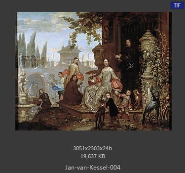 扬·梵·凯塞尔（Jan van Kessel）