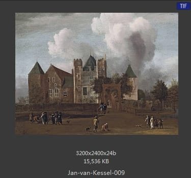 扬·梵·凯塞尔（Jan van Kessel）