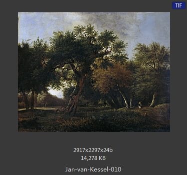 扬·梵·凯塞尔（Jan van Kessel）