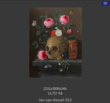 扬·梵·凯塞尔（Jan van Kessel）