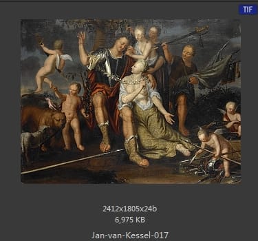扬·梵·凯塞尔（Jan van Kessel）