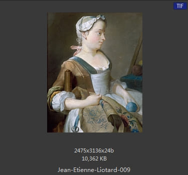 让·埃蒂安·利奥塔德 Jean-Etienne Liotard