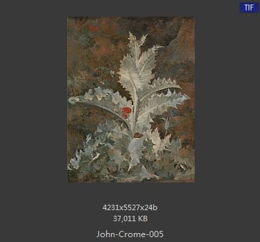 约翰·克罗姆 (John Crome)