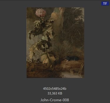约翰·克罗姆 (John Crome)