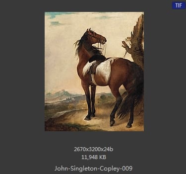 【美国】约翰·辛格顿·科普利（john singleton copley）