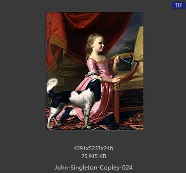 【美国】约翰·辛格顿·科普利（john singleton copley）