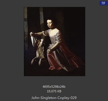 【美国】约翰·辛格顿·科普利（john singleton copley）