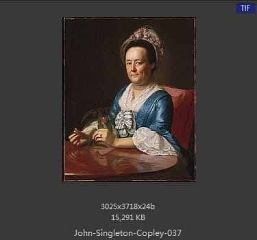 【美国】约翰·辛格顿·科普利（john singleton copley）