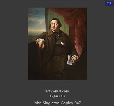 【美国】约翰·辛格顿·科普利（john singleton copley）