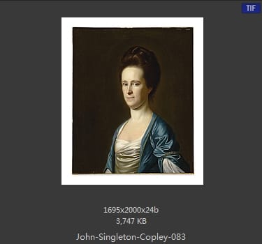 【美国】约翰·辛格顿·科普利（john singleton copley）