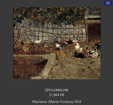 马里亚诺.福图尼 Mariano Fortuny