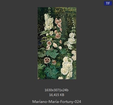 马里亚诺.福图尼 Mariano Fortuny