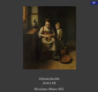 尼古拉斯.梅斯Nicolaes Maes