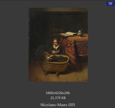 尼古拉斯.梅斯Nicolaes Maes