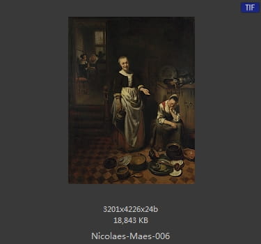 尼古拉斯.梅斯Nicolaes Maes