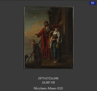 尼古拉斯.梅斯Nicolaes Maes