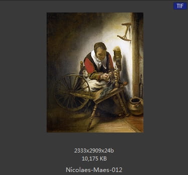 尼古拉斯.梅斯Nicolaes Maes
