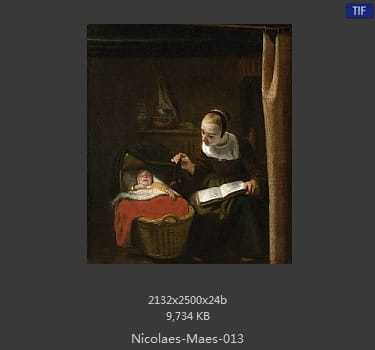 尼古拉斯.梅斯Nicolaes Maes