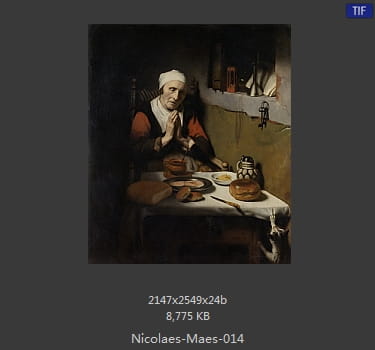 尼古拉斯.梅斯Nicolaes Maes