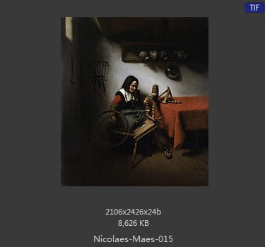 尼古拉斯.梅斯Nicolaes Maes