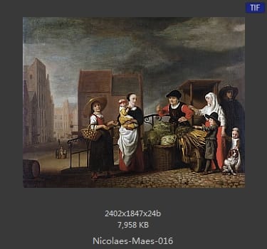 尼古拉斯.梅斯Nicolaes Maes