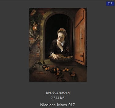 尼古拉斯.梅斯Nicolaes Maes