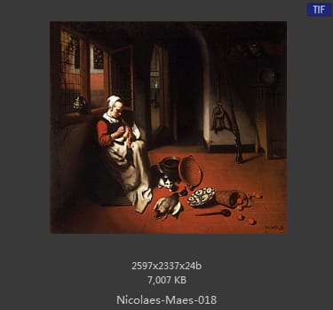 尼古拉斯.梅斯Nicolaes Maes