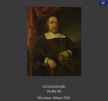 尼古拉斯.梅斯Nicolaes Maes