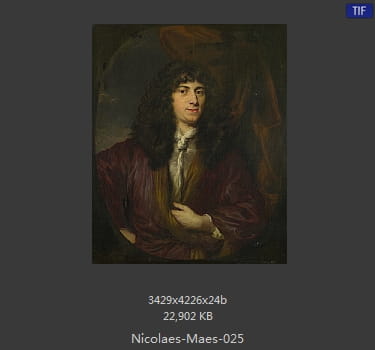 尼古拉斯.梅斯Nicolaes Maes
