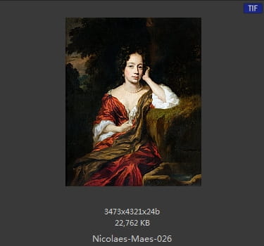 尼古拉斯.梅斯Nicolaes Maes