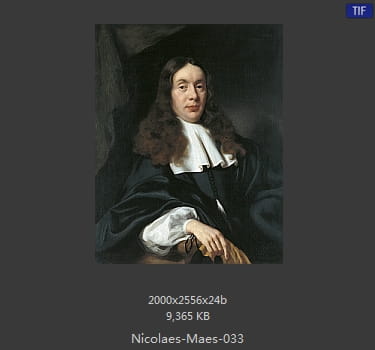 尼古拉斯.梅斯Nicolaes Maes
