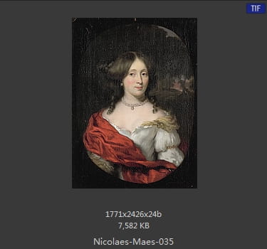 尼古拉斯.梅斯Nicolaes Maes