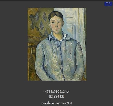 【法国】保罗·塞尚（Paul Cezanne）