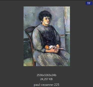 【法国】保罗·塞尚（Paul Cezanne）