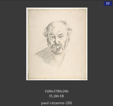 【法国】保罗·塞尚（Paul Cezanne）