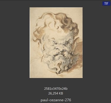 【法国】保罗·塞尚（Paul Cezanne）