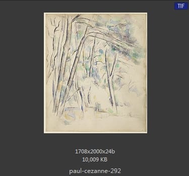 【法国】保罗·塞尚（Paul Cezanne）