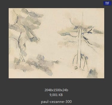 【法国】保罗·塞尚（Paul Cezanne）