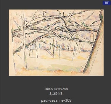 【法国】保罗·塞尚（Paul Cezanne）