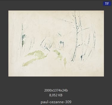 【法国】保罗·塞尚（Paul Cezanne）