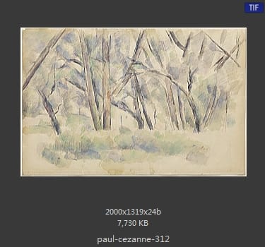 【法国】保罗·塞尚（Paul Cezanne）