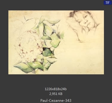 【法国】保罗·塞尚（Paul Cezanne）