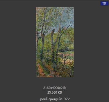 【法国】保罗·高更（Paul Gauguin）