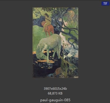 【法国】保罗·高更（Paul Gauguin）