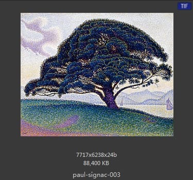 保罗·西涅克（Paul Signac）