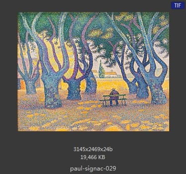 保罗·西涅克（Paul Signac）