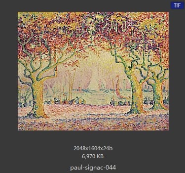 保罗·西涅克（Paul Signac）