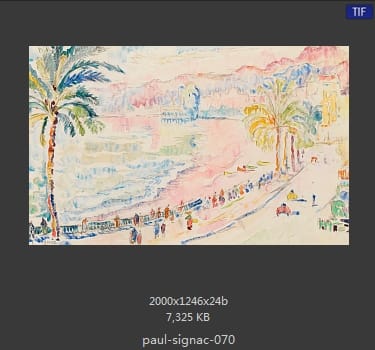 保罗·西涅克（Paul Signac）