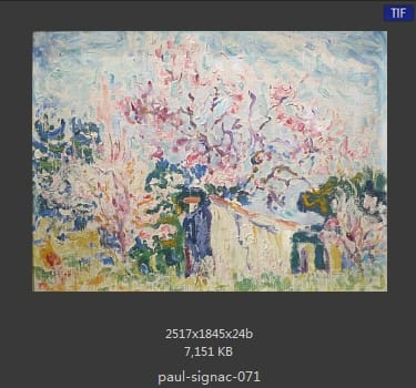 保罗·西涅克（Paul Signac）