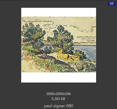 保罗·西涅克（Paul Signac）